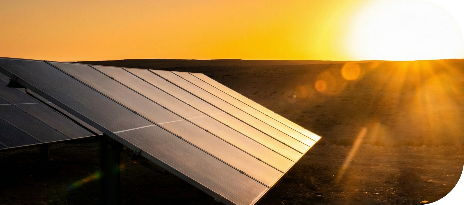 Painéis solares em campo aberto refletindo a luz do pôr do sol